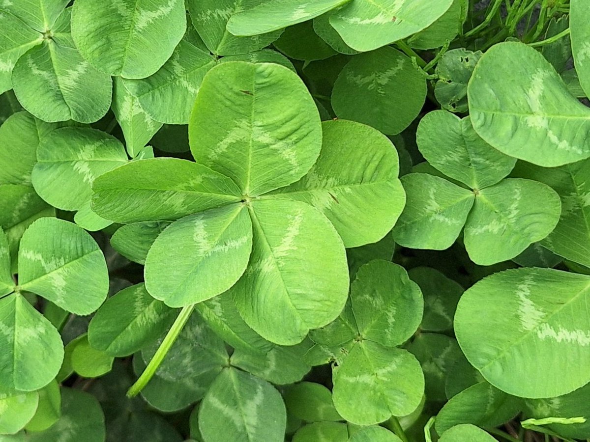 じぇーむず❖ @Gungnir tweet media