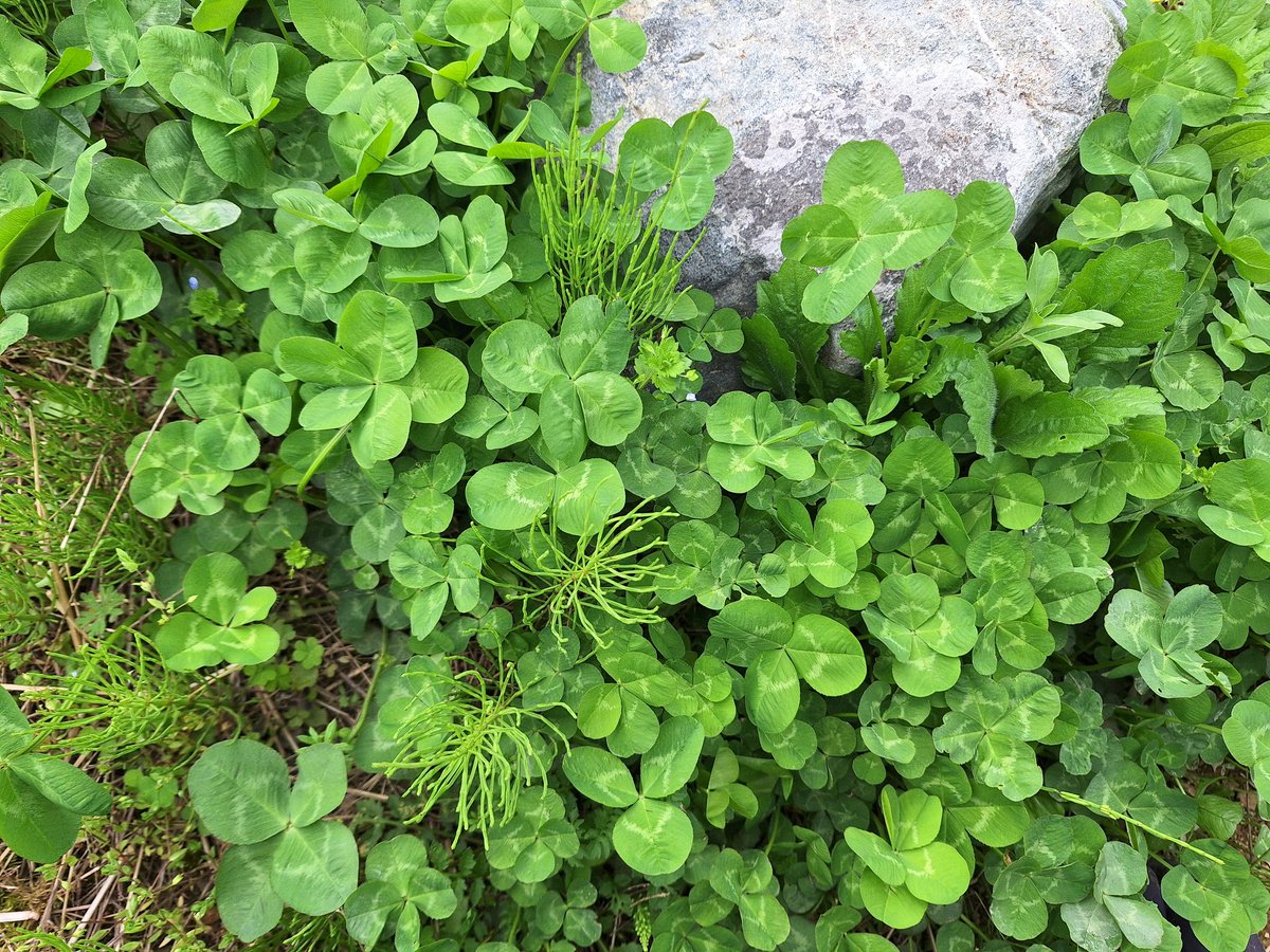 じぇーむず❖ @Gungnir tweet media