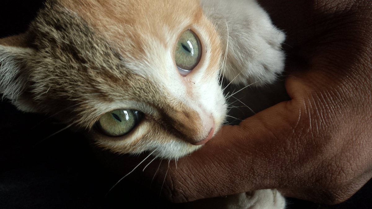 XxPerry♍🇫🇮🇨🇦 tweet media