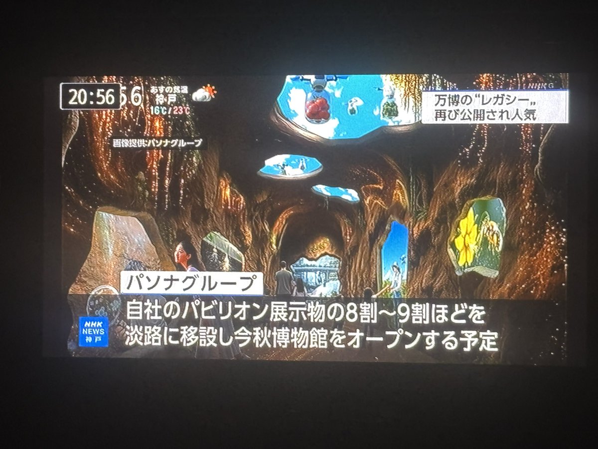 杉本 敏行 tweet media