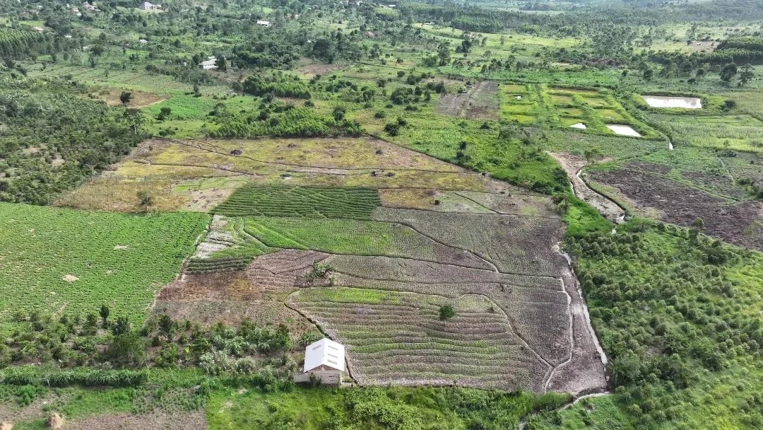 Grace airbnb Host tweet media