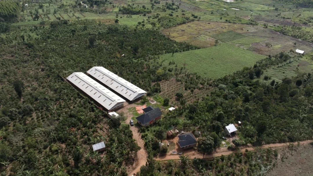 Grace airbnb Host tweet media