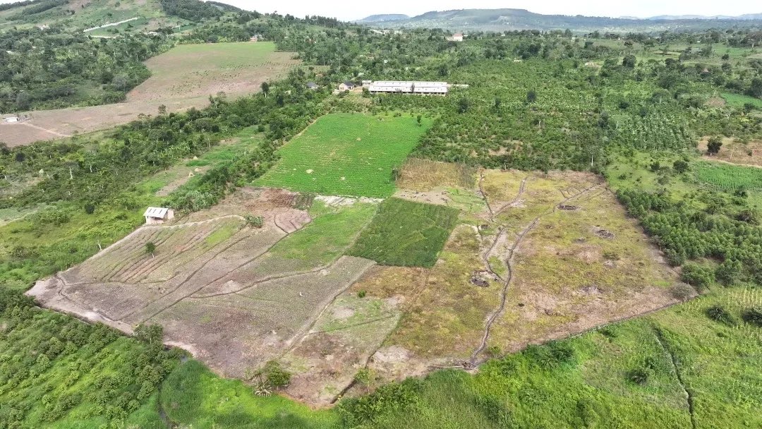 Grace airbnb Host tweet media