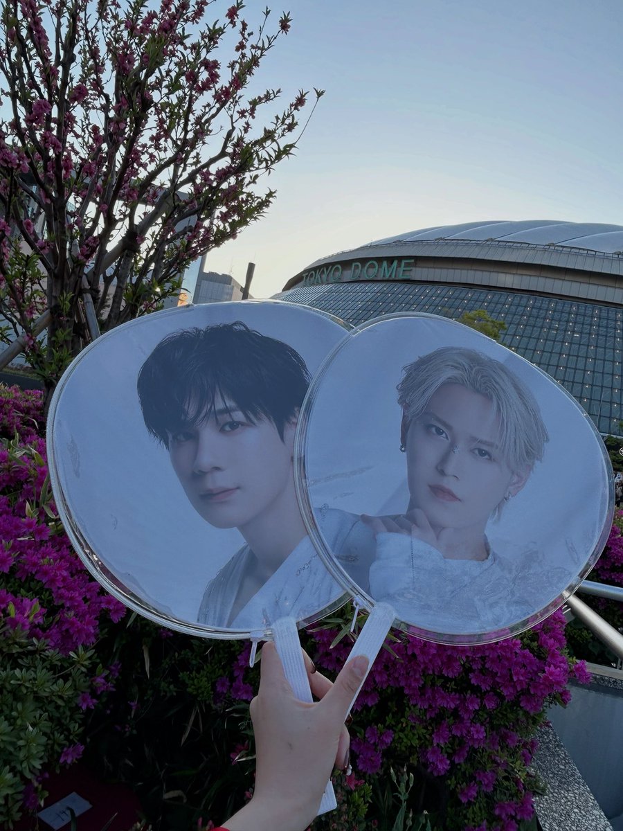 まうんてんたまご tweet media