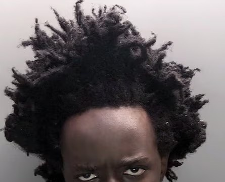 Russian Garbage Human tweet media