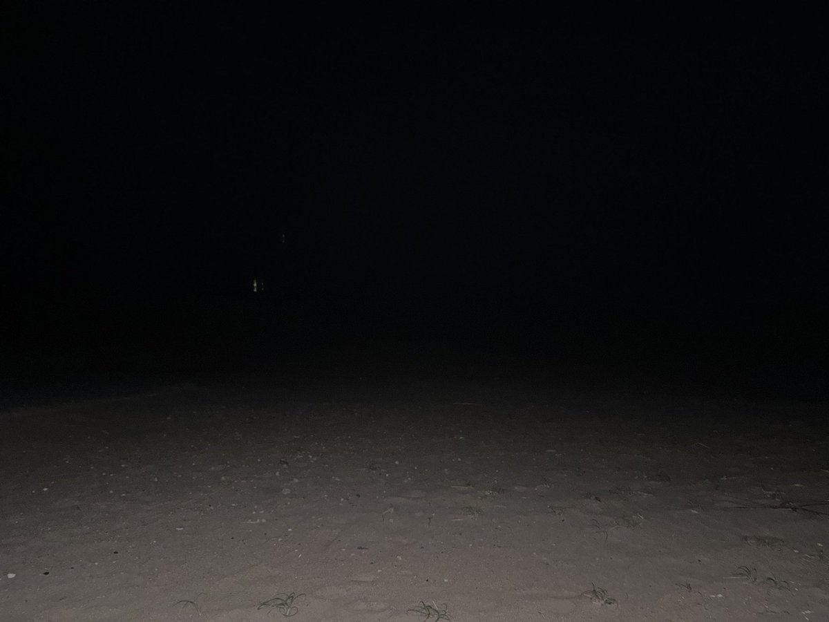 ちぇるしーー tweet media