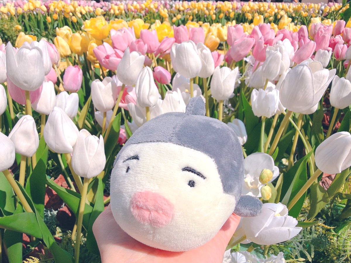 アール tweet media