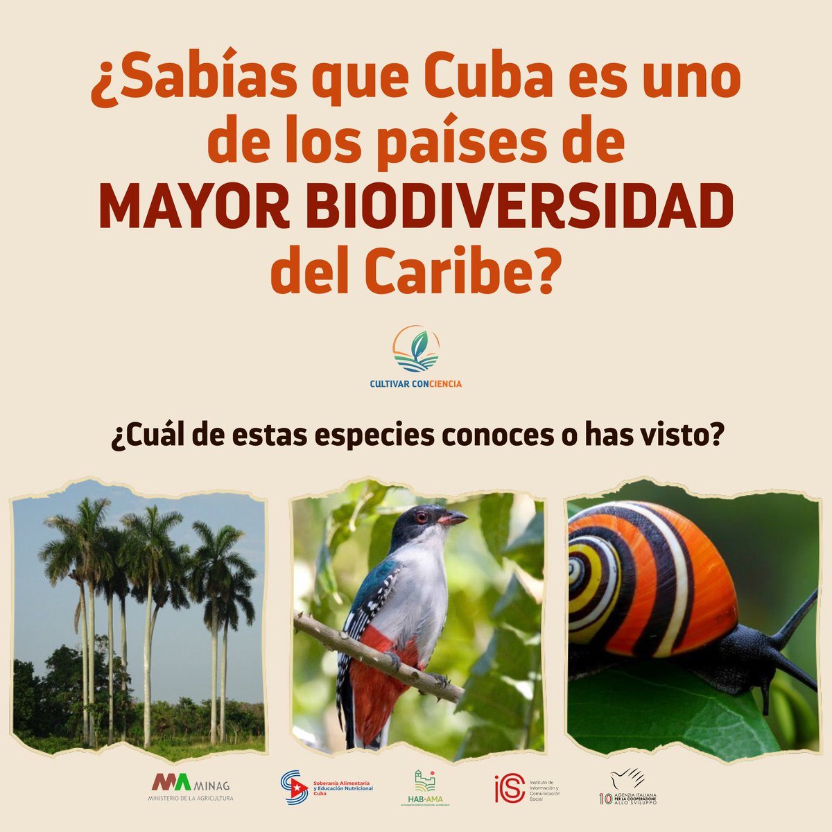 Cultivar Conciencia tweet media