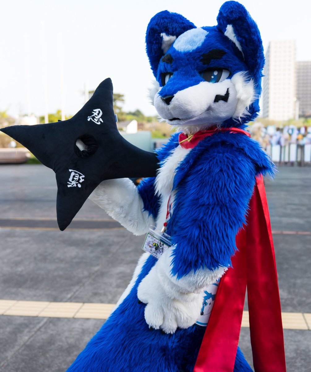 ぽこみち tweet media