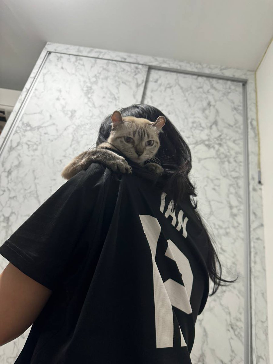 kat(๑˃̵ᴗ˂̵) tweet media