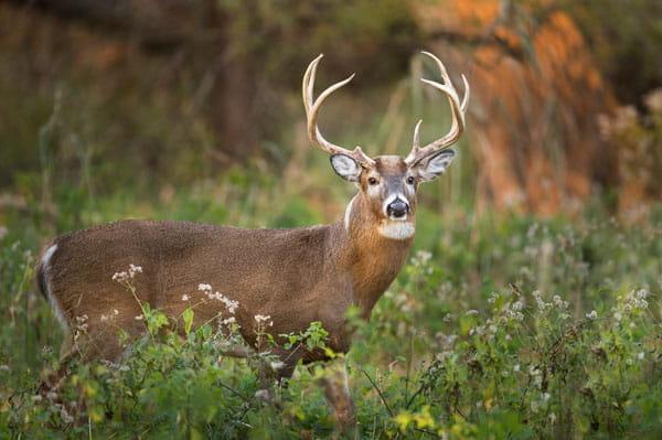 102.3 & 103.3 FM 1270 AM Triple Talk WMKT tweet media