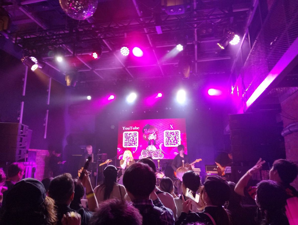 うさぎ。 tweet media