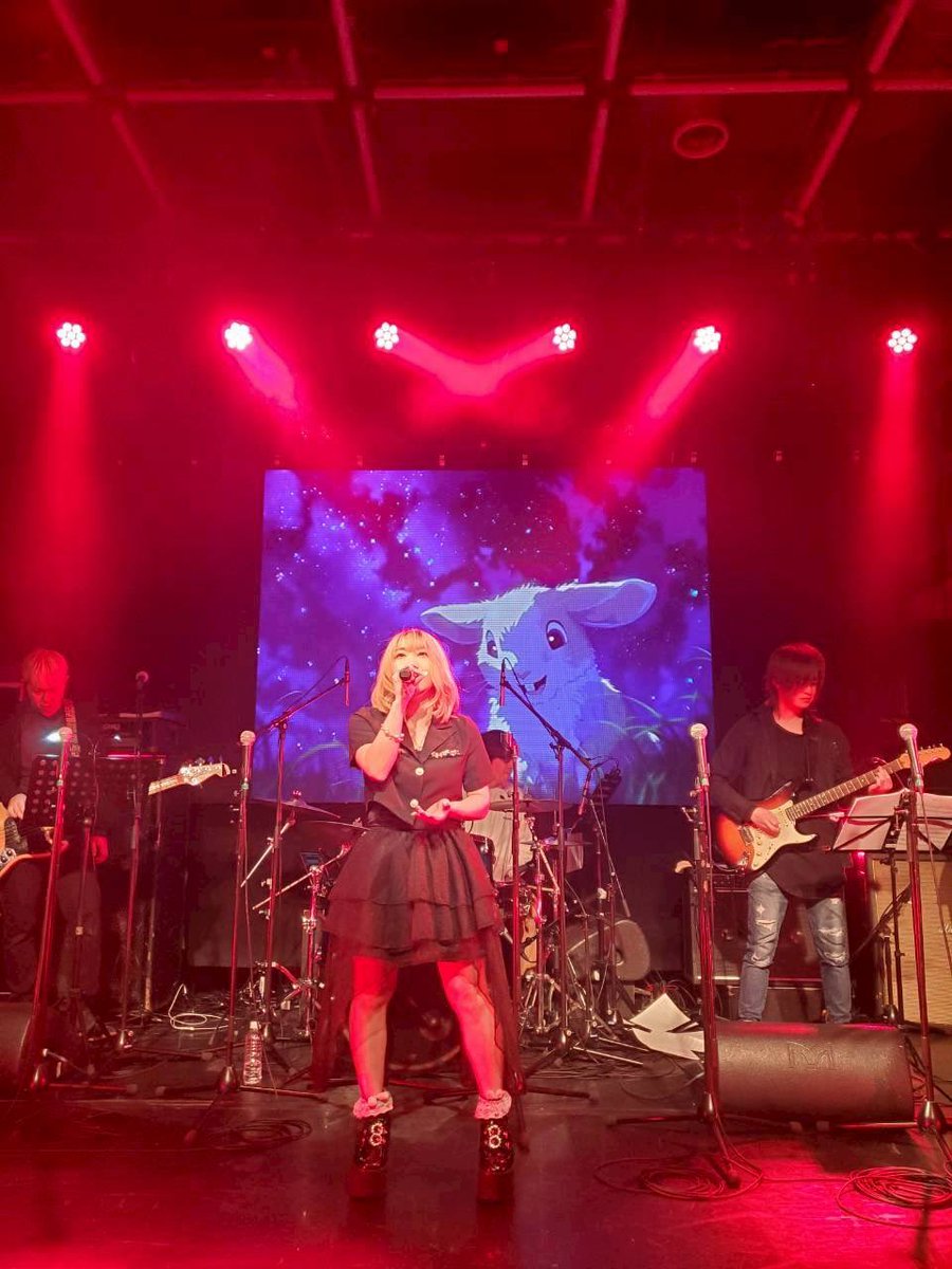 うさぎ。 tweet media