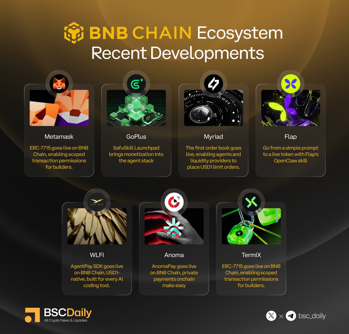 BSCDaily tweet media