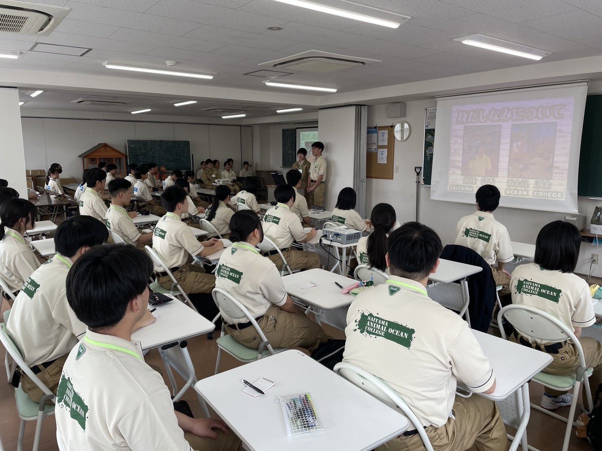 新入生に向けて２年生からのレクチャーを行いました✏
身だしなみ・インターン実習・ONEDAY研修・動物との向き合い方についてなどなどたっぷり学校についての理解を深めました📒
#埼玉動物海洋専門学校