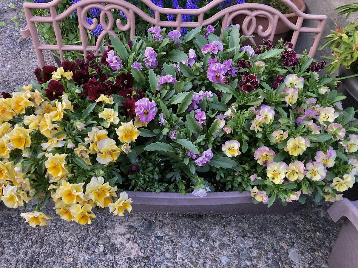 るぱて tweet media