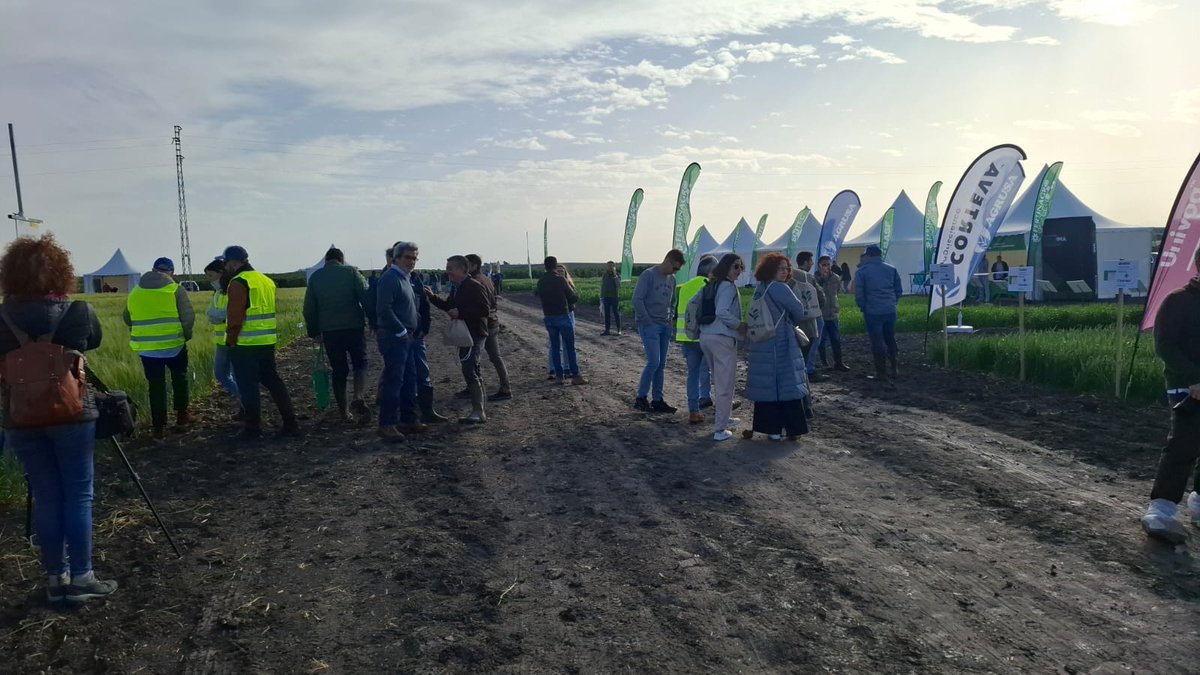 Cooperativas Agro-alimentarias de Sevilla tweet media