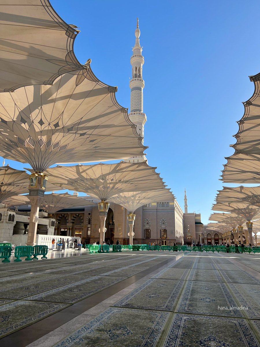 هناء المدينة tweet media