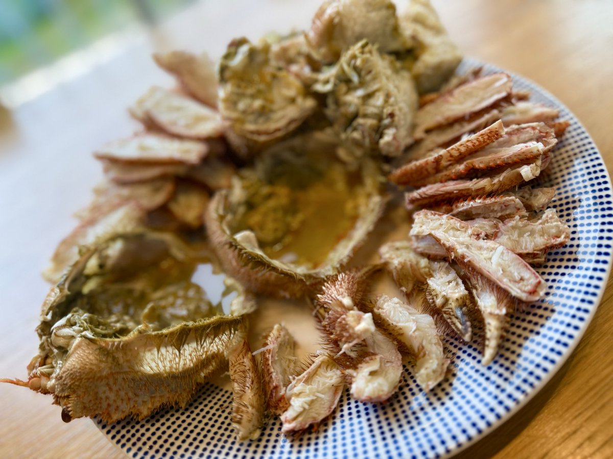 鈴木徹平 Teppei Suzuki tweet media