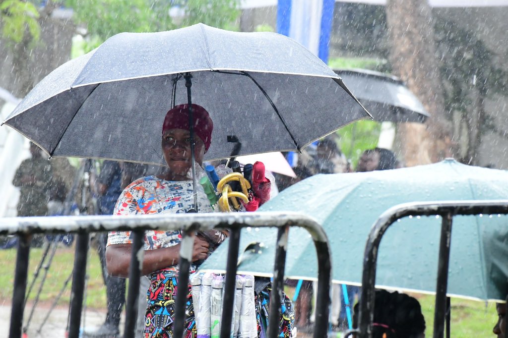 SPARK TV tweet media