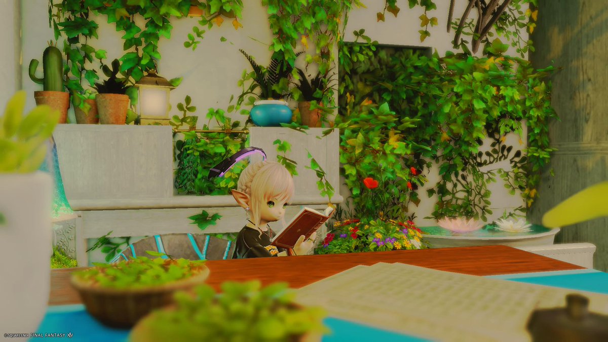 Halu Ames@unicorn tweet media