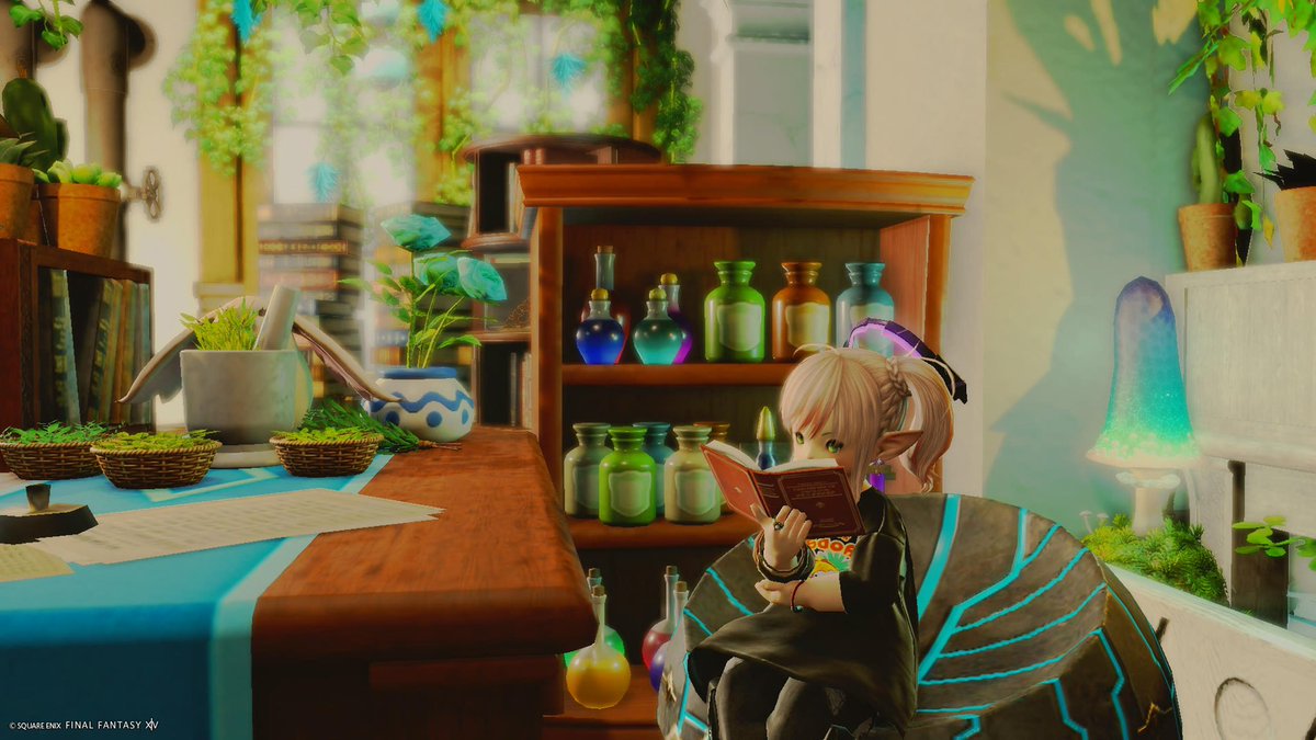 Halu Ames@unicorn tweet media