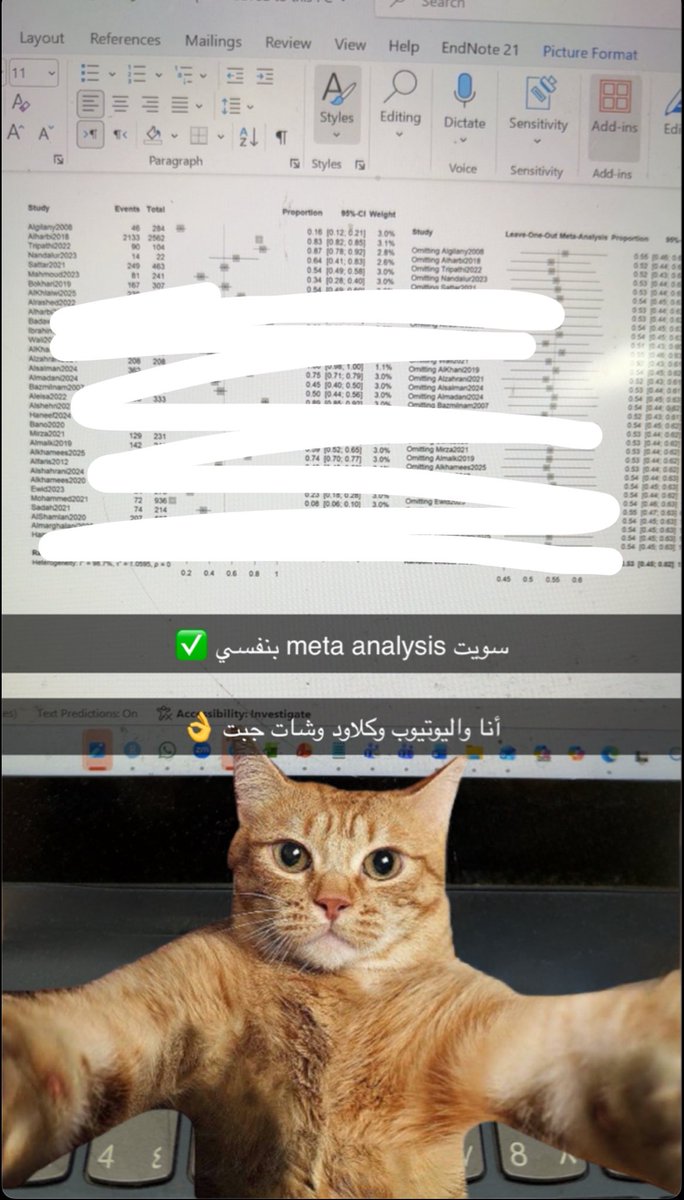 Raseel Almutairi tweet media