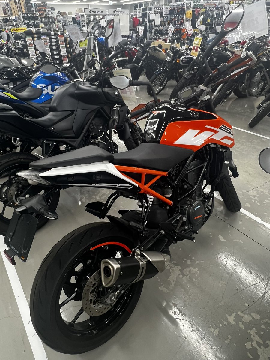 とめ🖤🐰🏃🏻‍♀️❤️🐈🥺🍁🍮🐟💉 tweet media