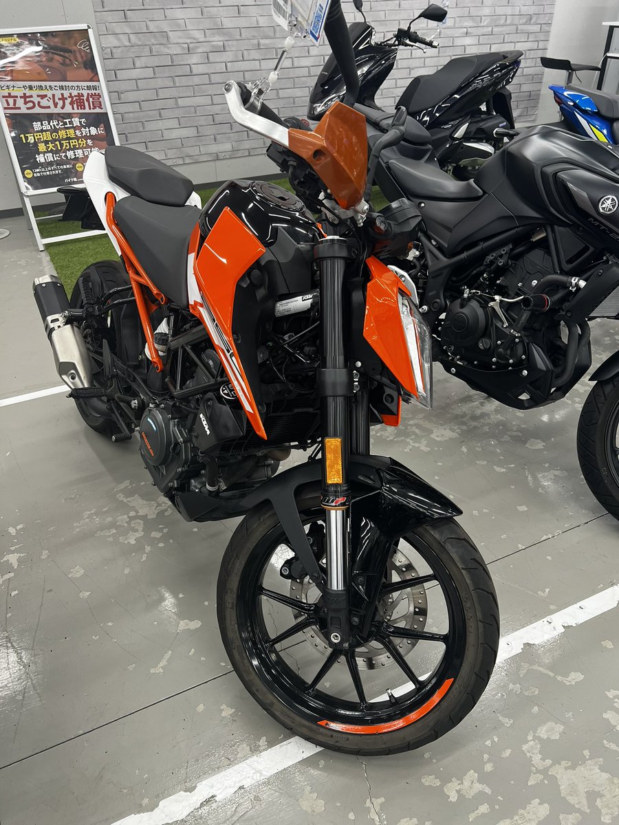 とめ🖤🐰🏃🏻‍♀️❤️🐈🥺🍁🍮🐟💉 tweet media