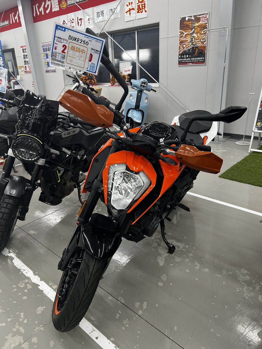 とめ🖤🐰🏃🏻‍♀️❤️🐈🥺🍁🍮🐟💉 tweet media