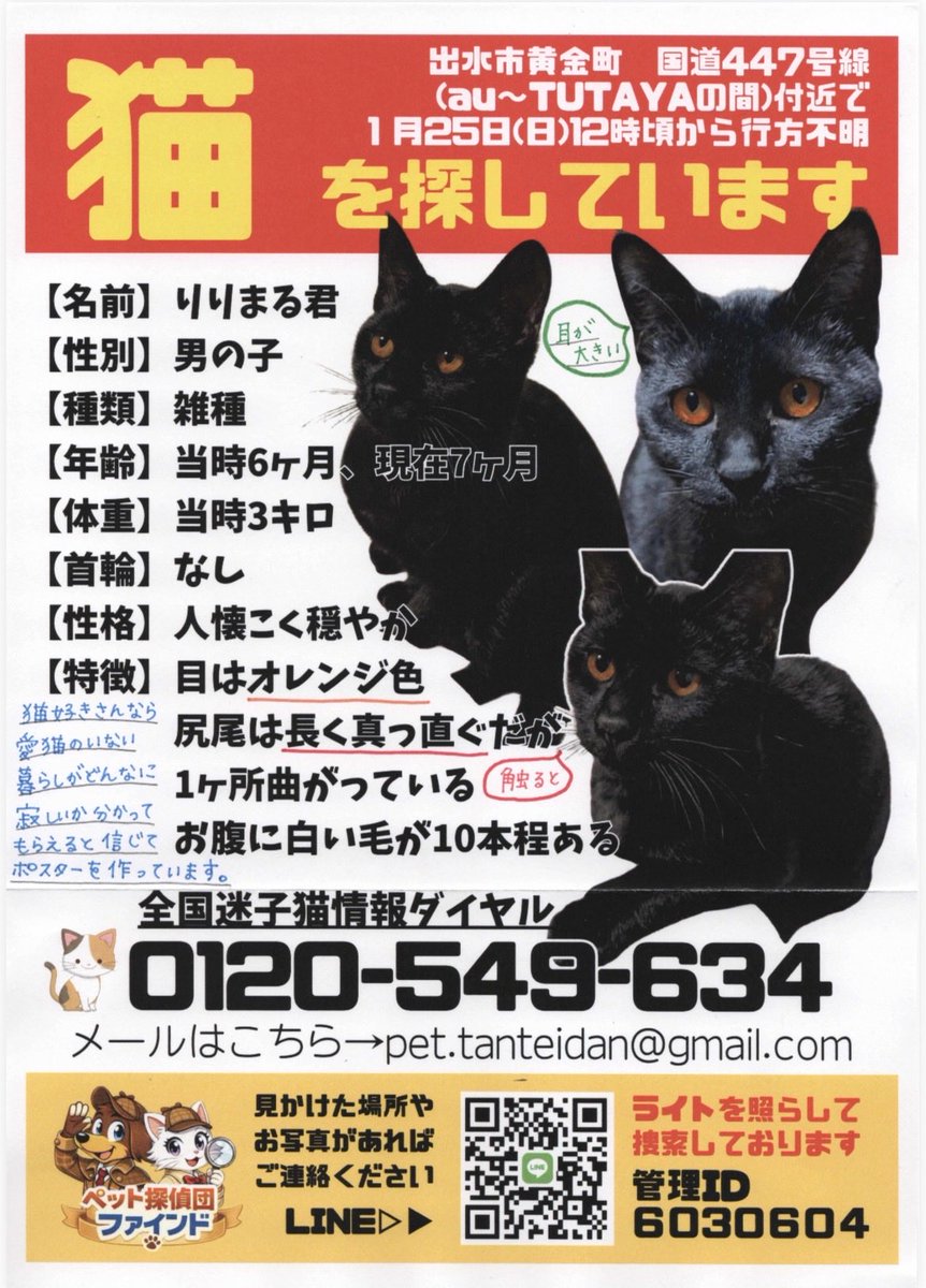 blackcat-ririmaru tweet media