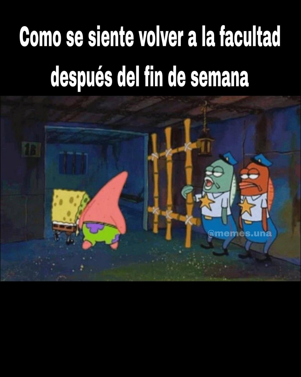 Memes UNA tweet media