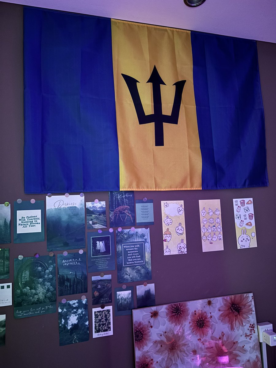 流浪猫 tweet media