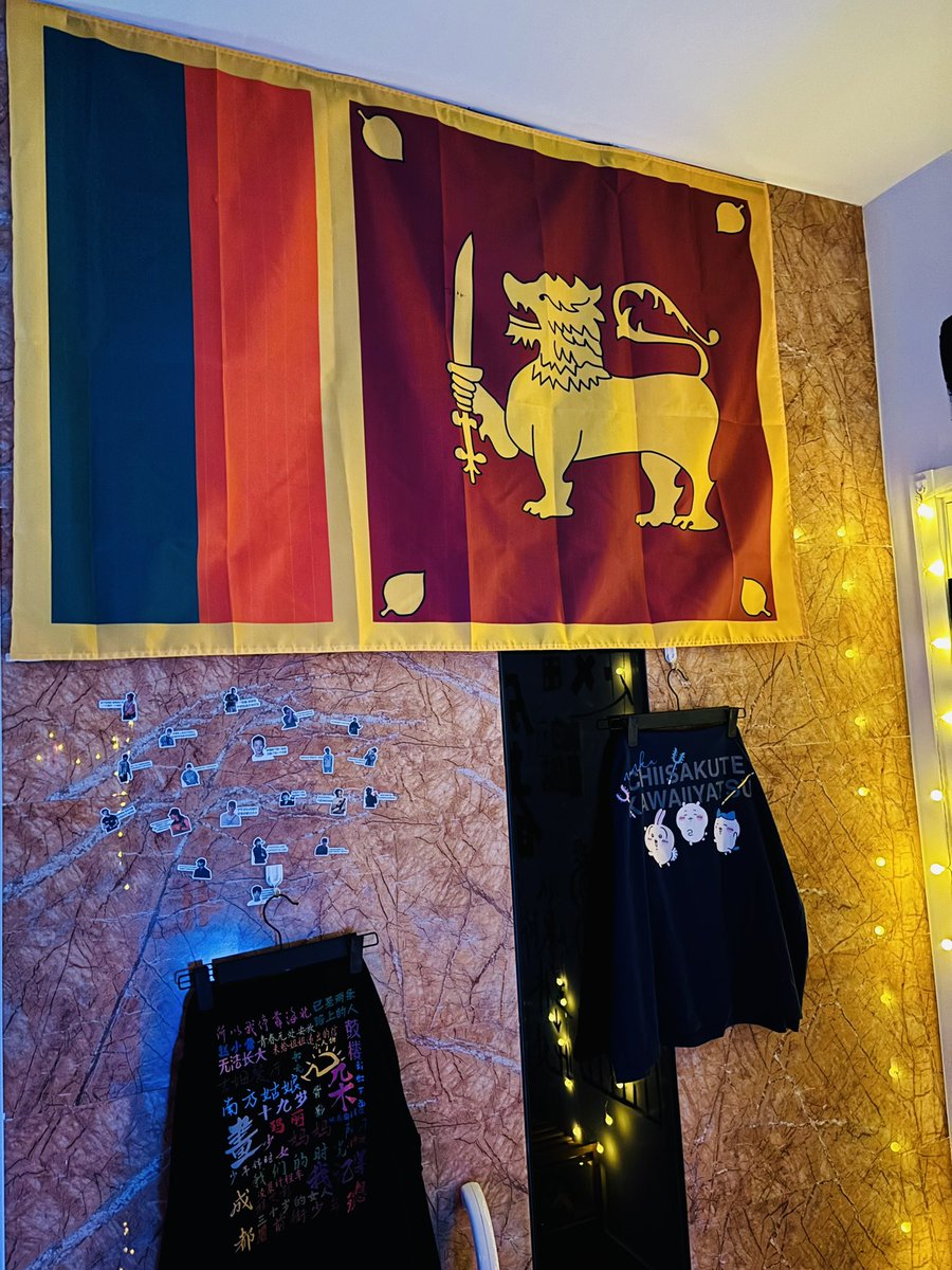 流浪猫 tweet media