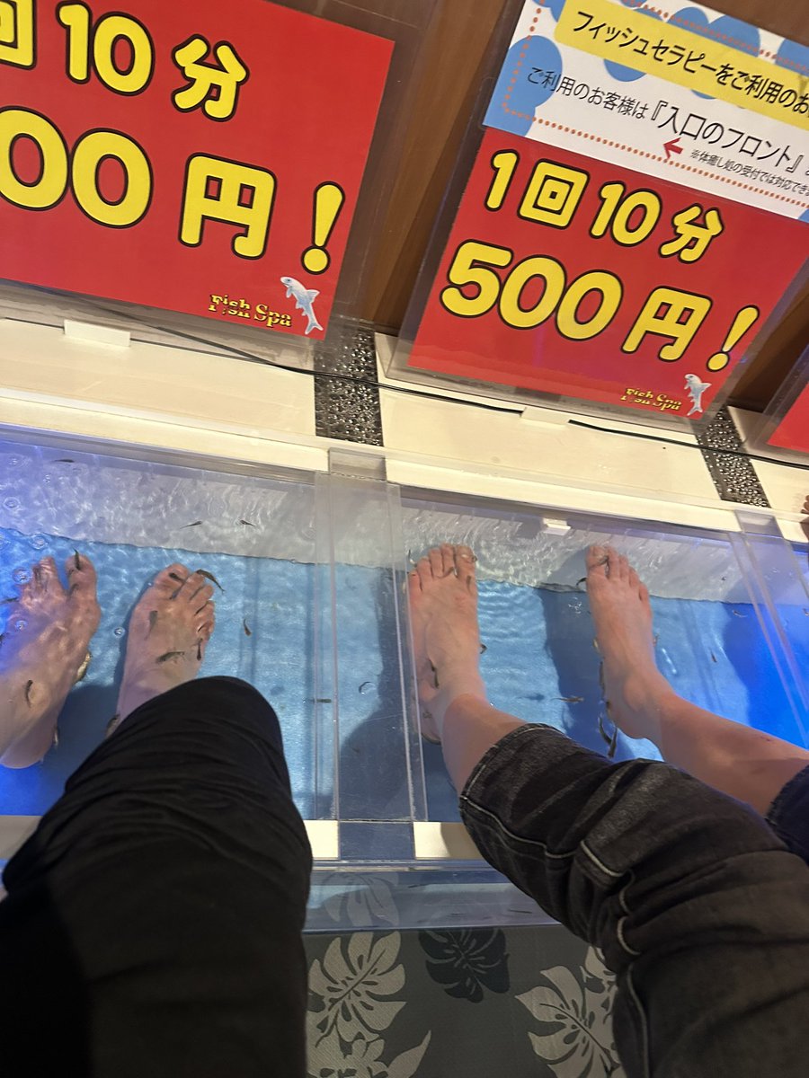 佐藤翔馬 tweet media