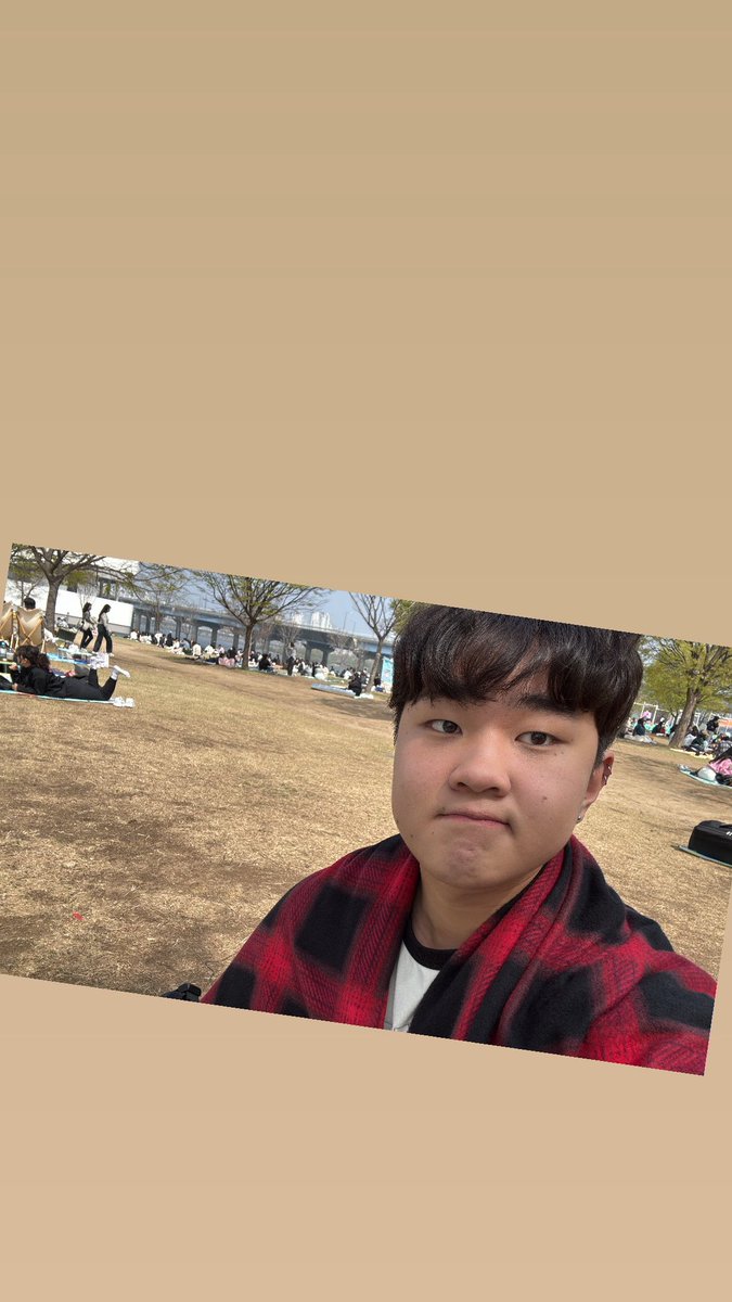 귤 tweet media