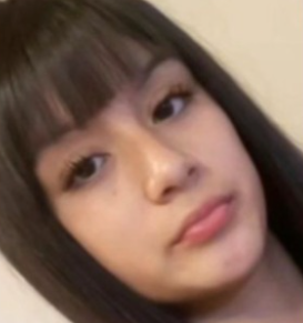 desaparecidas argentina tweet media