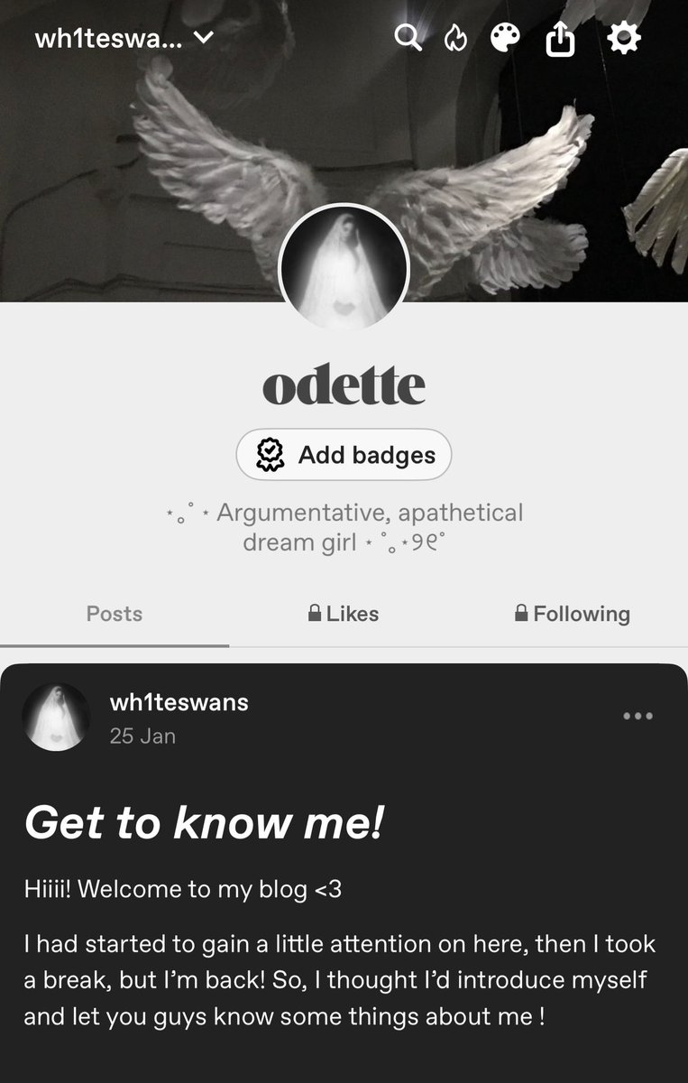 OhVivicat's tweet image. might start posting on tumblr more you guys should follow @/wh1teswans