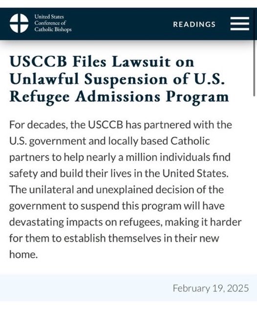 Phairy Megan tweet media