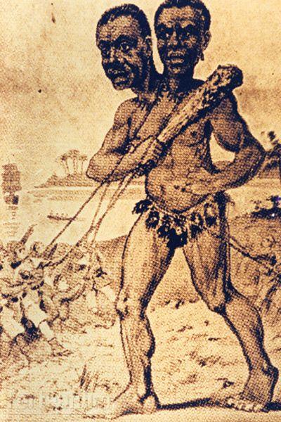 UFO mania tweet media