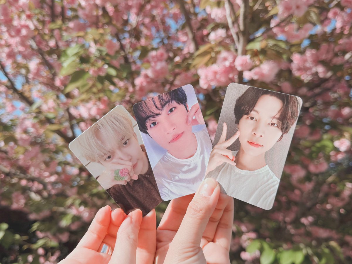 ◌𓈒たま𓐍 ⸝⋆ tweet media