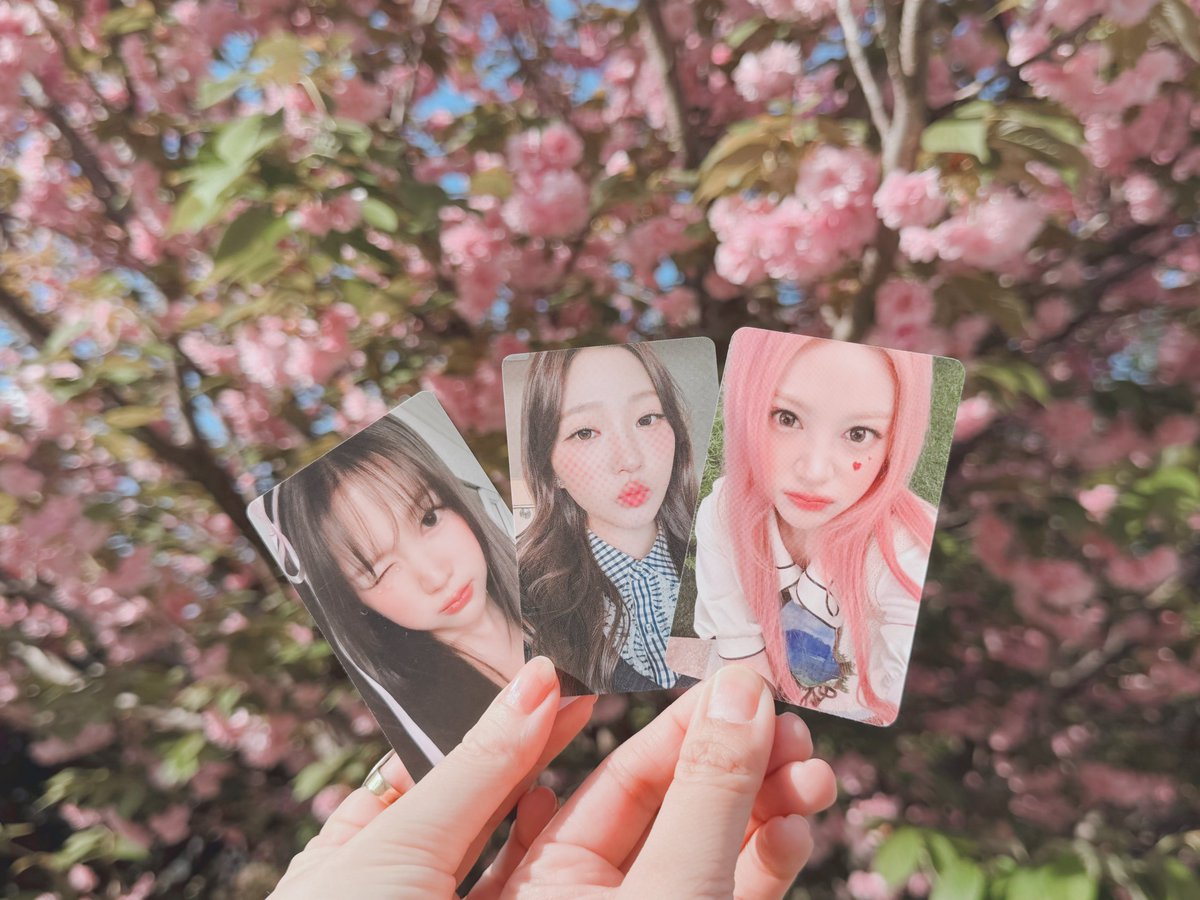 ◌𓈒たま𓐍 ⸝⋆ tweet media