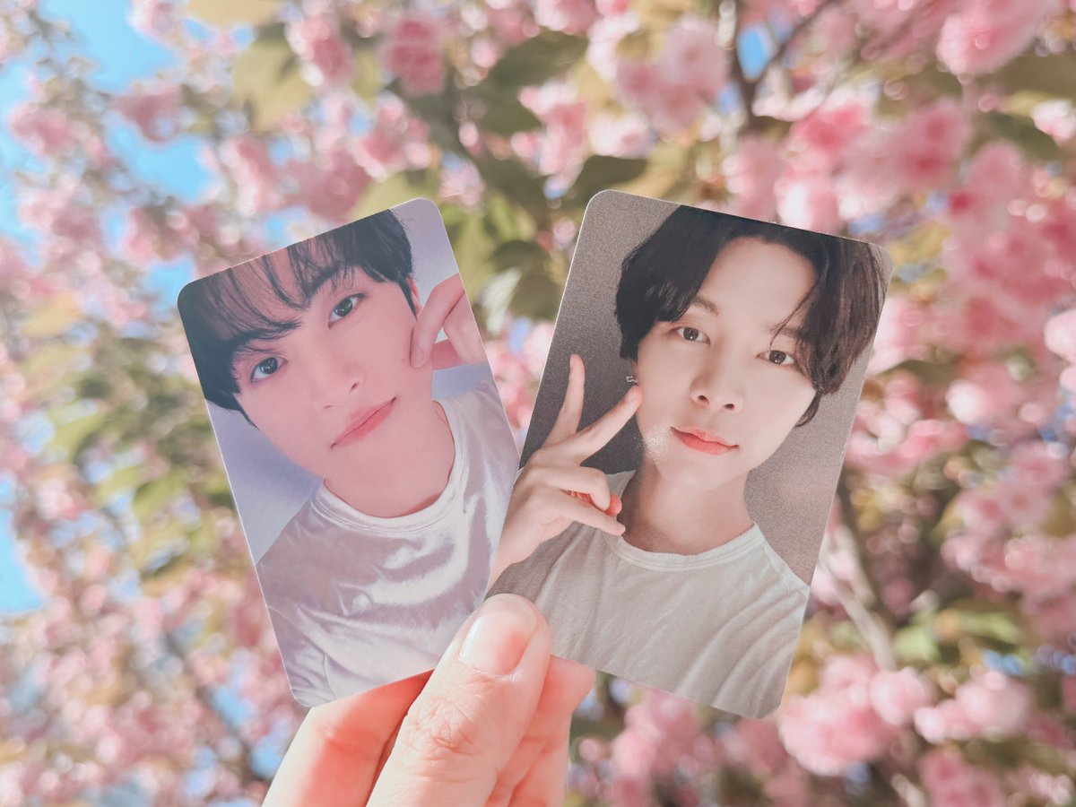 ◌𓈒たま𓐍 ⸝⋆ tweet media