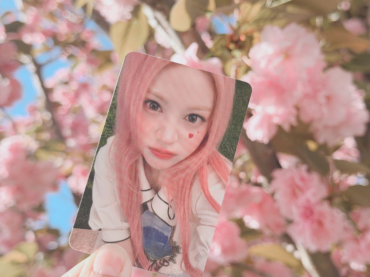 ◌𓈒たま𓐍 ⸝⋆ tweet media