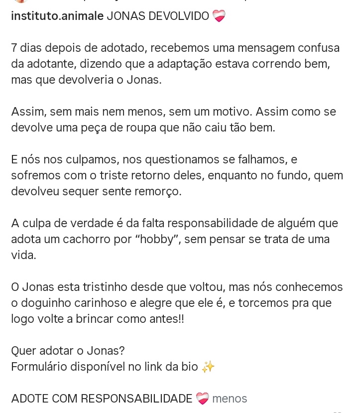 Laly Sulzbach 🦅 tweet media