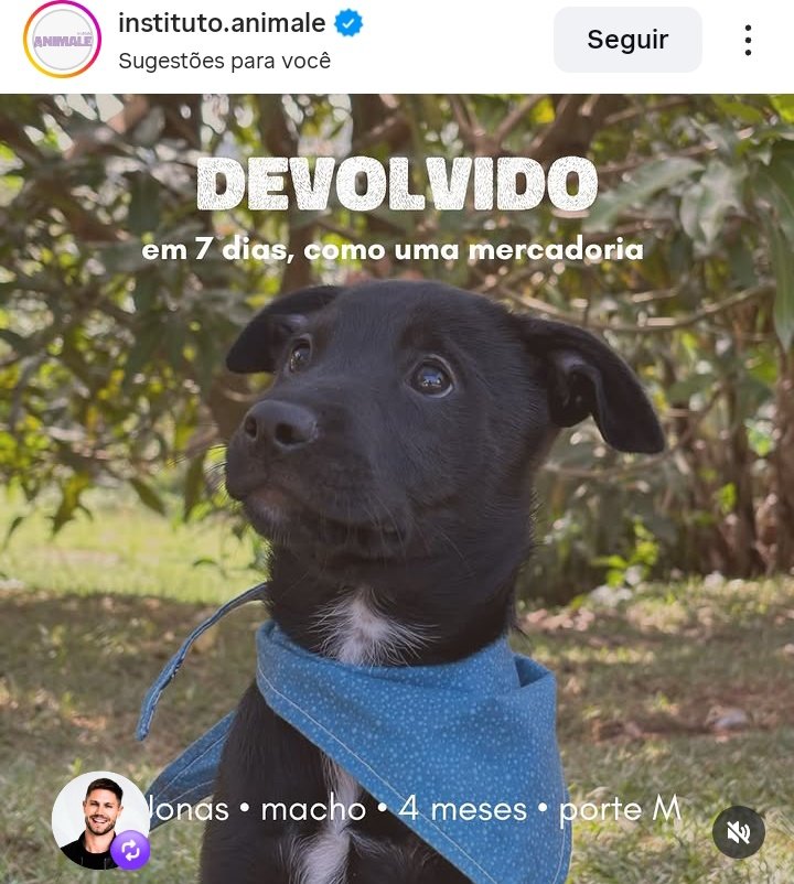 Laly Sulzbach 🦅 tweet media