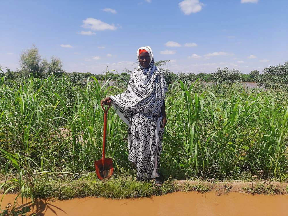 Lifeline Gedo tweet media