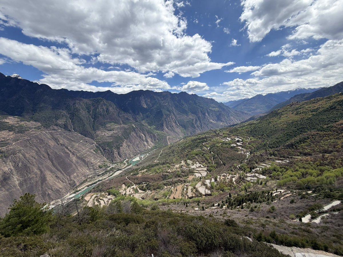 ぱやぱやくん tweet media