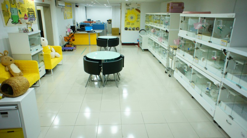 台灣愛兔協會 tweet media