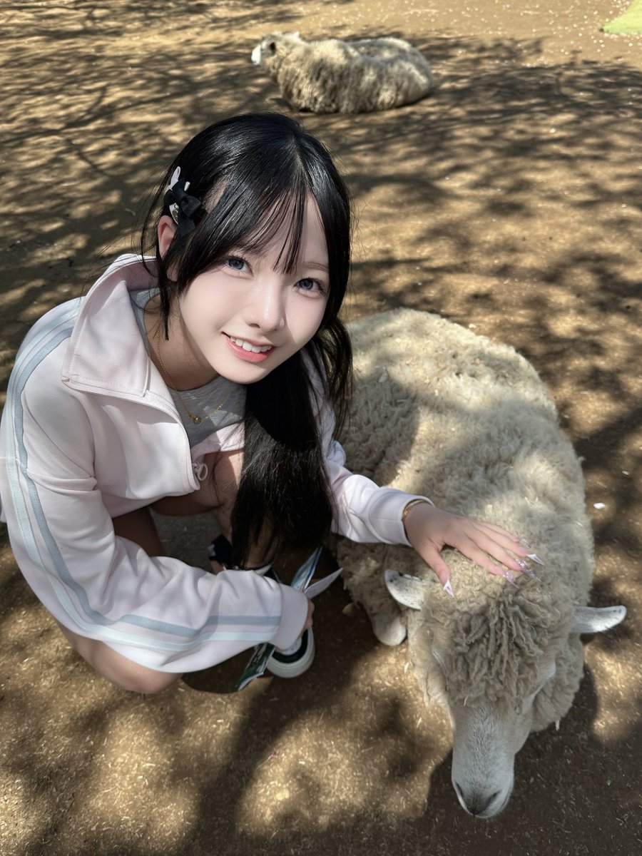 床のシミ tweet media